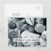 Seashells Black and White New Address Notice Briefkaart (Voorkant / Achterkant)