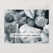 Seashells Black and White New Address Notice Briefkaart (Voorkant)