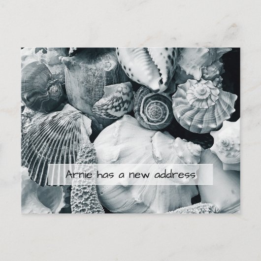 Seashells Black and White New Address Notice Briefkaart (Voorkant)