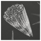  Seashells Black Stof (Close Up)