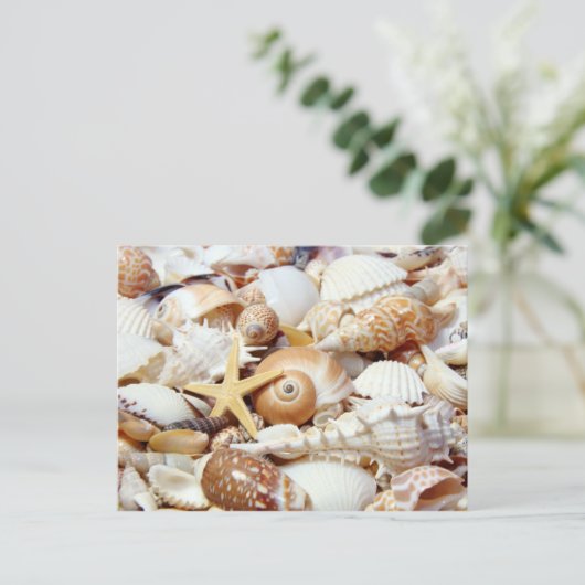 Seashells Briefkaart (Staand voorkant)