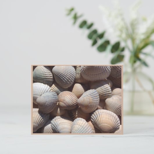 Seashells Briefkaart (Staand voorkant)