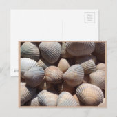 Seashells Briefkaart (Voorkant / Achterkant)