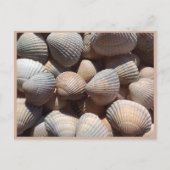 Seashells Briefkaart (Voorkant)