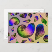 Seashells Briefkaart (Voorkant / Achterkant)