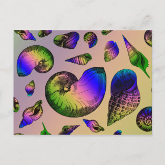 Seashells Briefkaart