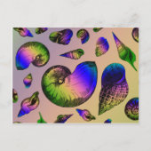 Seashells Briefkaart (Voorkant)