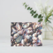 Seashells Briefkaart (Staand voorkant)
