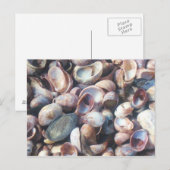 Seashells Briefkaart (Voorkant / Achterkant)