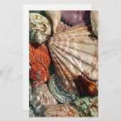 Seashells Briefpapier (Voorkant / Achterkant)