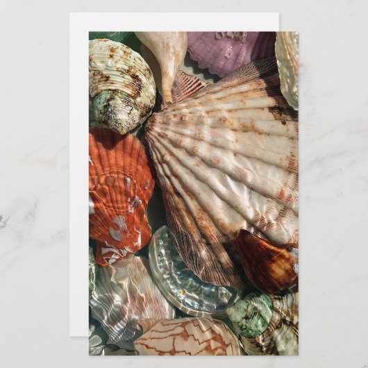 Seashells Briefpapier (Voorkant / Achterkant)