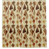Seashells Brown Snails Coastal Beach House Douchegordijn (Voorkant)
