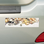 Seashells Bumpersticker (Op auto)