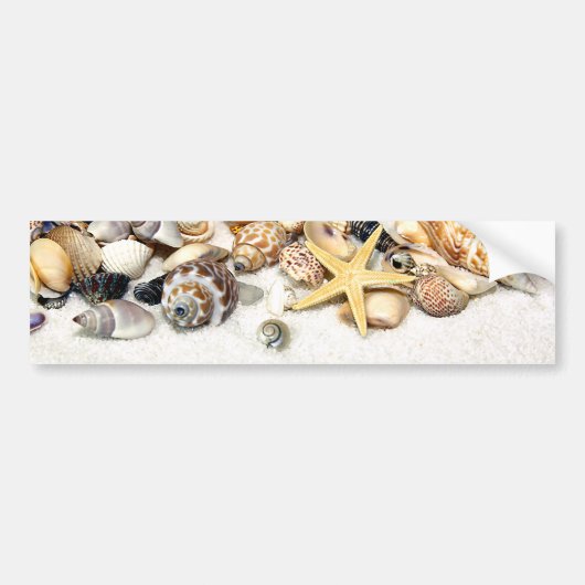 Seashells Bumpersticker (Voorkant)