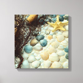 Seashells Canvas Afdruk