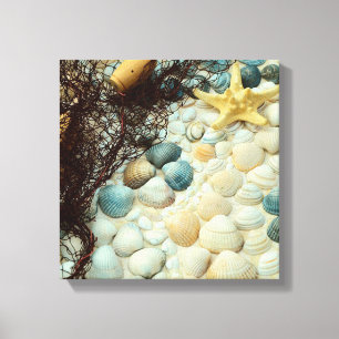 Seashells Canvas Afdruk