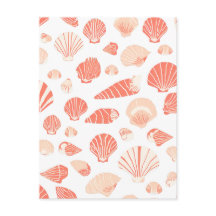 Seashells  Coastal