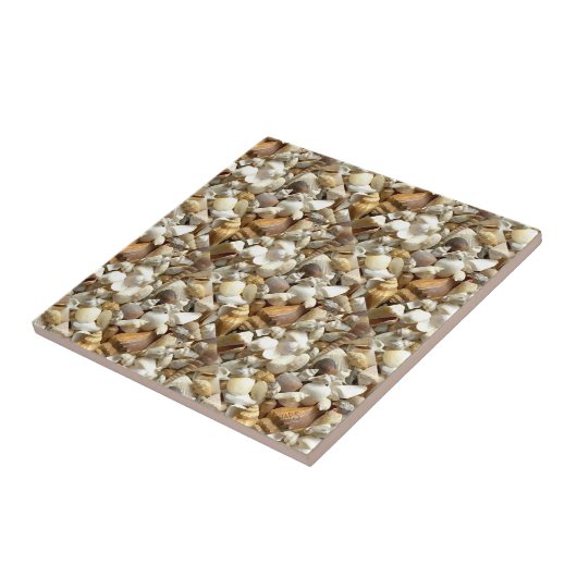 Seashells Collage Tegeltje (Zijkant)