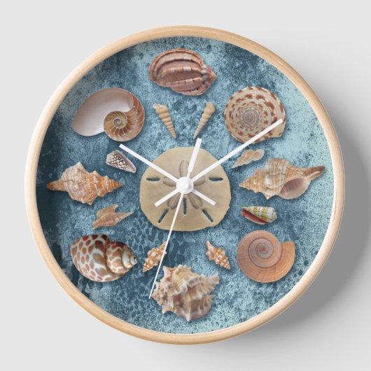 Seashells Collectie Mandala (Voorkant)