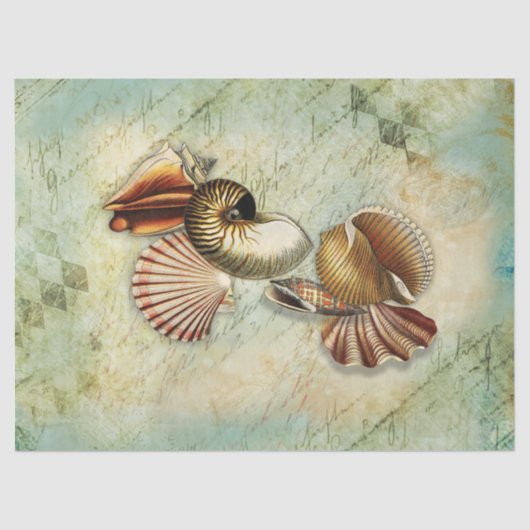 Seashells-deklaagpapier Tissuepapier (Voorkant)