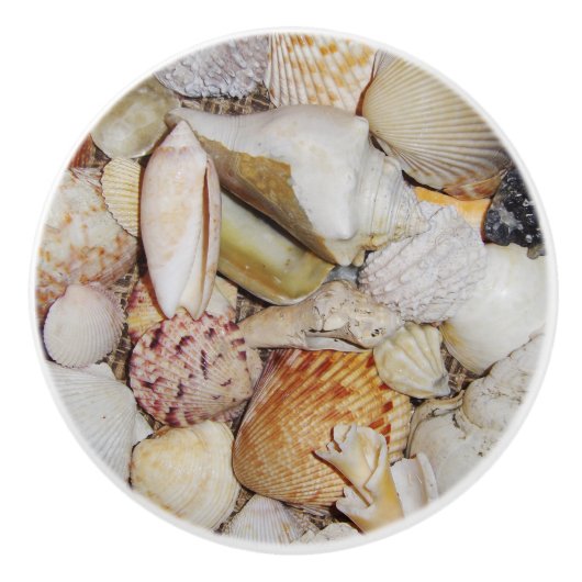Seashells Drawer Pull Keramische Knop (Voorkant)