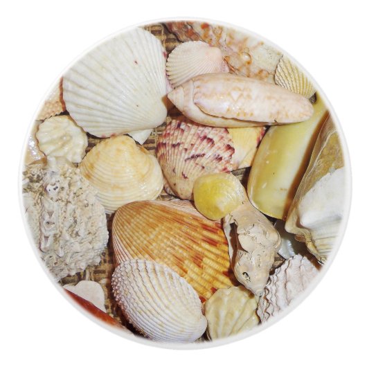 Seashells Drawer Pull Keramische Knop (Voorkant)