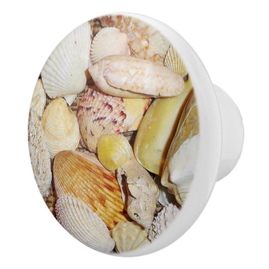 Seashells Drawer Pull Keramische Knop (Rechts)