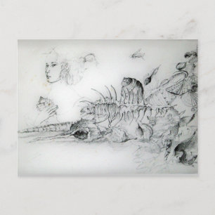 SEASHELLS EN JONG MEISJE Zwart Wit Tekening Briefkaart