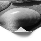 Seashells Foto Afdruk (Hoek)