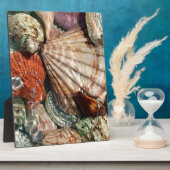 Seashells Fotoplaat (Zijkant)