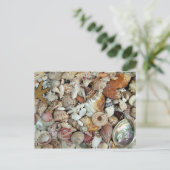 Seashells Galore Briefkaart (Staand voorkant)