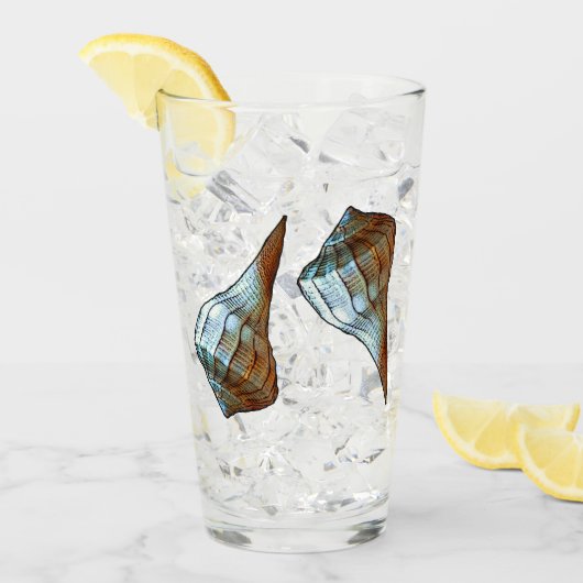 Seashells Glas (Voorkant ijs)