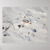 Seashells in de Zandkleur 16x20 Poster (Voorkant)