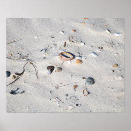 Seashells in de Zandkleur 16x20 Poster
