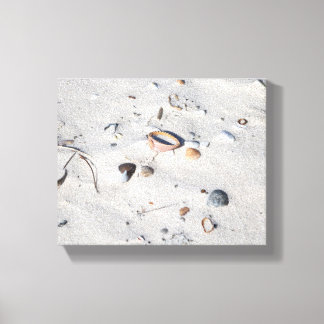 Seashells in de Zandkleur 8x10 Canvas Afdruk