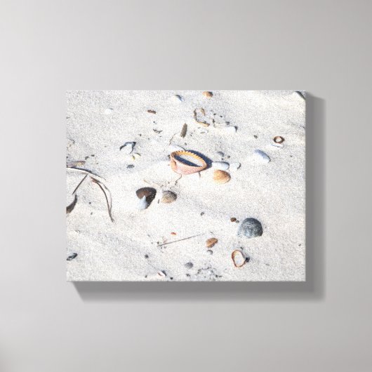Seashells in de Zandkleur 8x10 Canvas Afdruk (Voorkant)