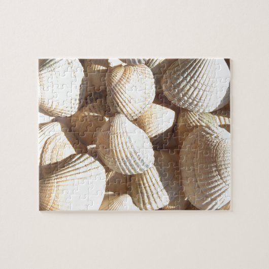 Seashells Legpuzzel (Horizontaal)