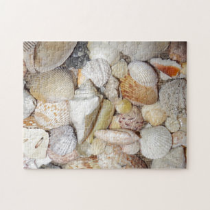 Seashells Legpuzzel