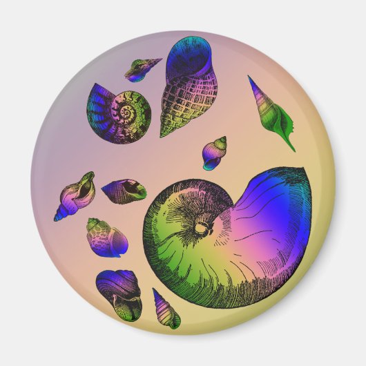 Seashells Magneet (Voorkant)
