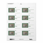 Seashells Merry Kerstseries Etiket (Full Sheet)