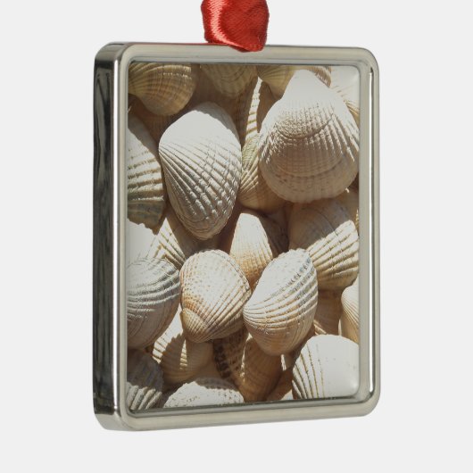 Seashells Metalen Ornament (Rechts)