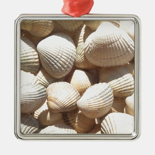 Seashells Metalen Ornament (Voorkant)