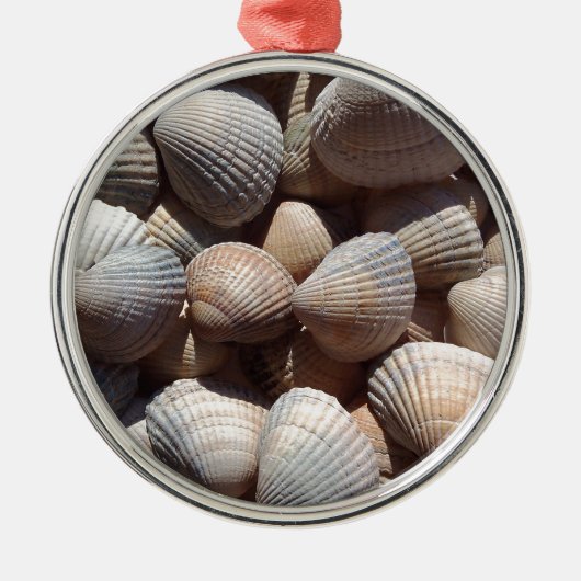 Seashells Metalen Ornament (Voorkant)