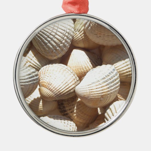 Seashells Metalen Ornament (Voorkant)