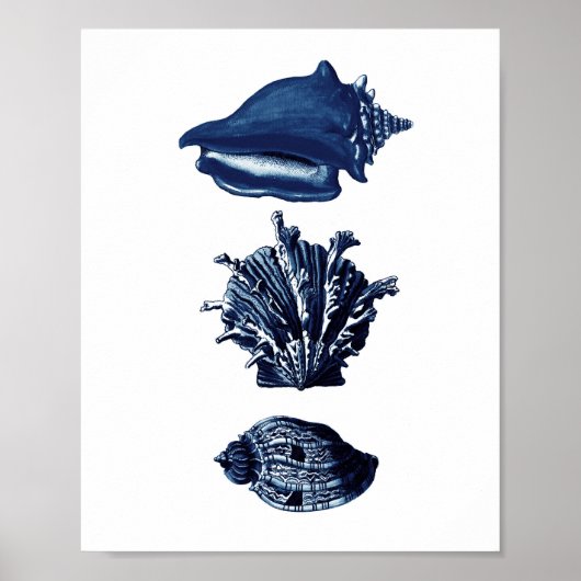 Seashells Navy Blue Decor Poster (Voorkant)