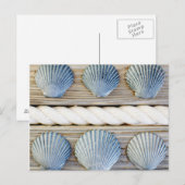 Seashells | New York City Briefkaart (Voorkant / Achterkant)