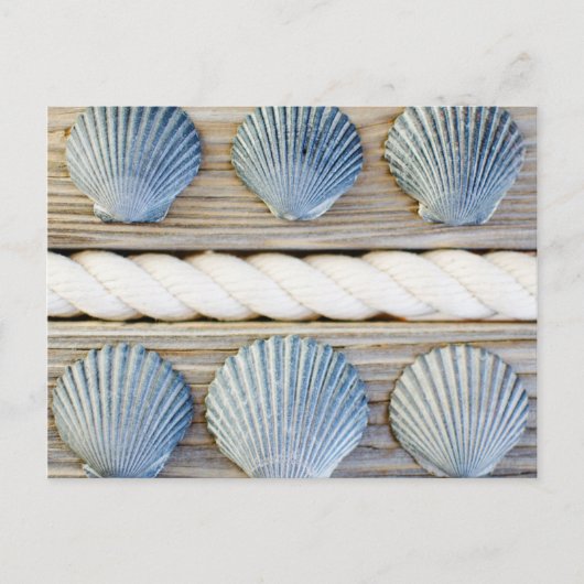 Seashells | New York City Briefkaart (Voorkant)