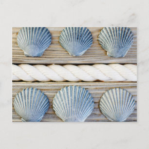 Seashells New York City Briefkaart