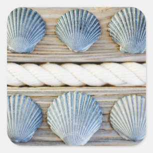 Seashells New York City Vierkante Sticker