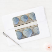 Seashells | New York City Vierkante Sticker (Envelop)
